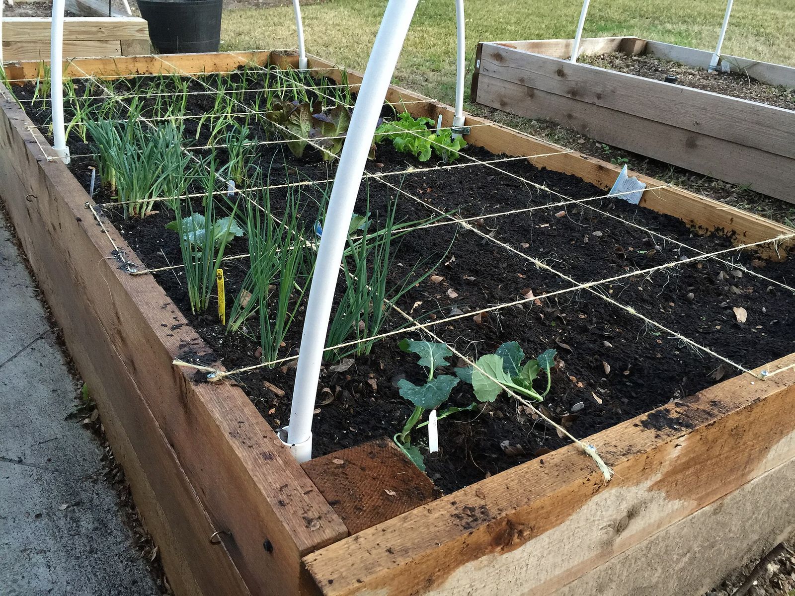 Jardin et potager