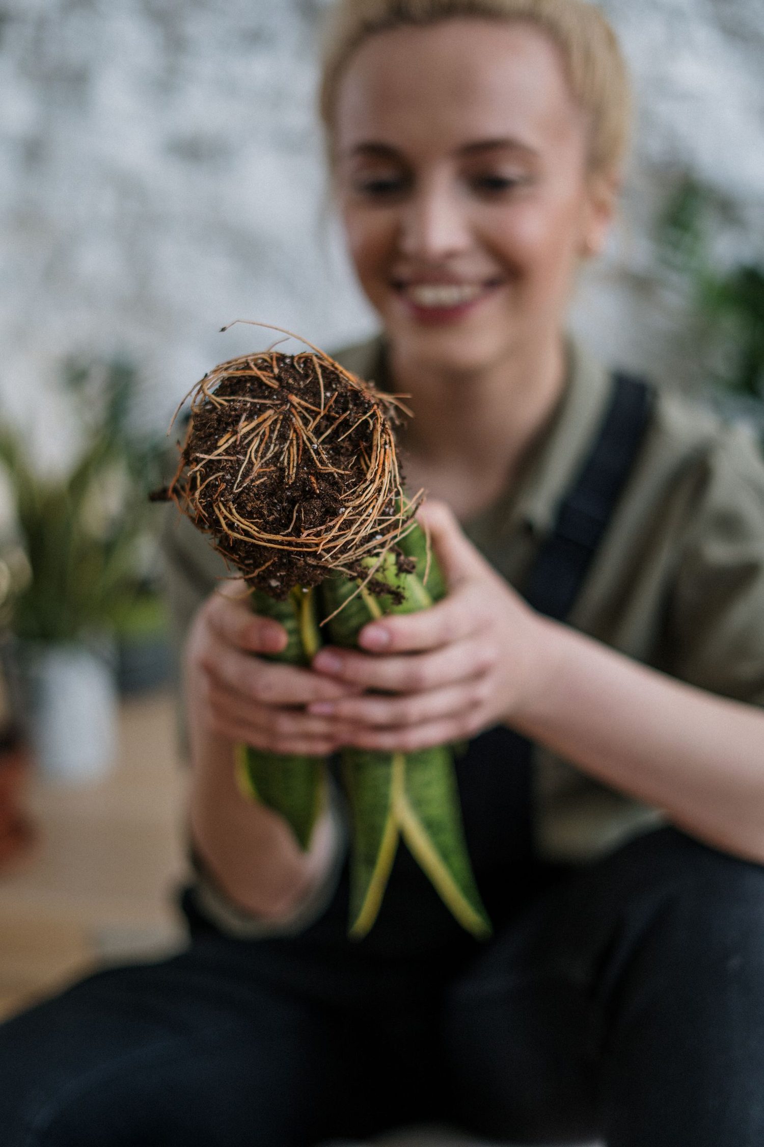 Jeune plant en main
